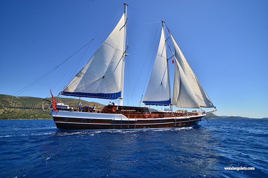 Bluecruise cabin charter