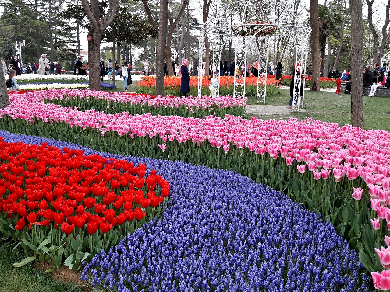 Emirgan park, Turkey Istanbul tulip festival in april
