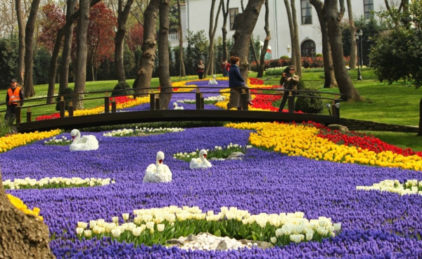 Don't miss the international Istanbul tulip festival 