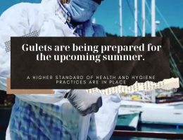 Gulets disinfection