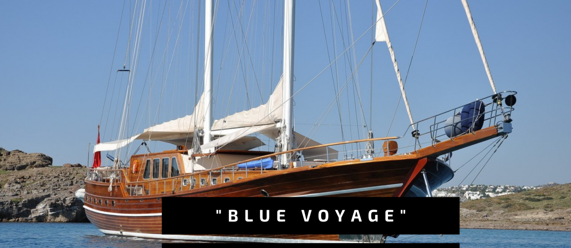 Blue Voyage explained