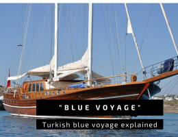 Blue Voyage explained
