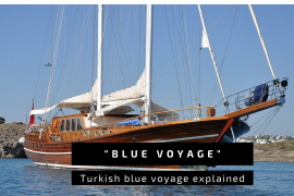 Blue Voyage explained