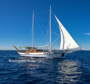 Standard WG CN 006 gulet charter Croatia & Montenegro 27meters
