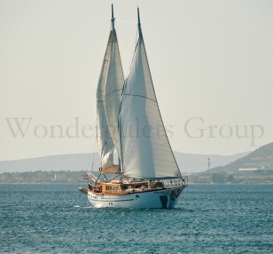 Standard WG CS 003 Croazia & Montenegro